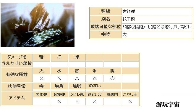 怪物猎人4蛇王龙怎么打