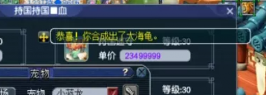梦幻西游合宠攻略