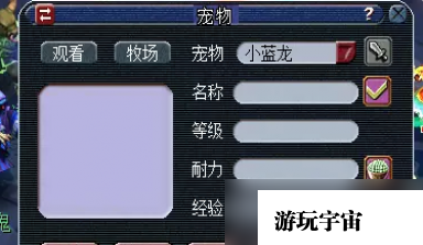 梦幻西游合宠攻略