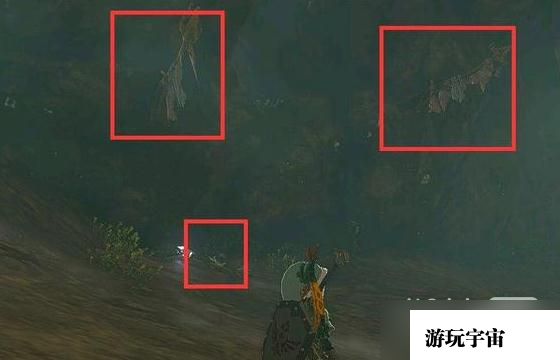 《塞尔达传说 王国之泪》蛮族衣获得方法攻略