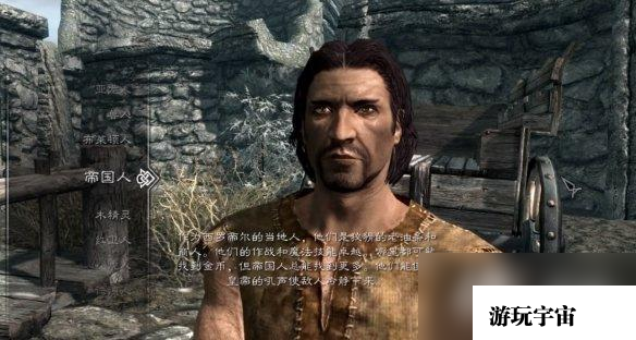 《上古卷轴5》种族选择推荐