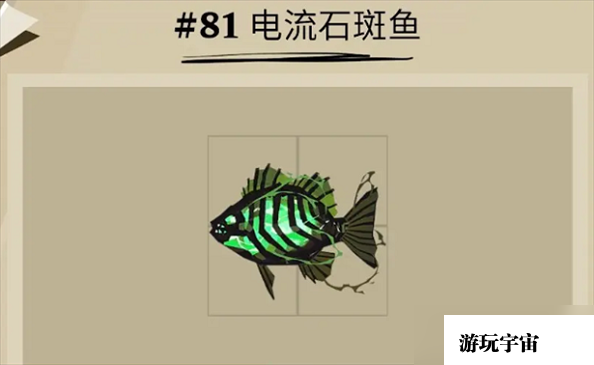《渔帆暗涌》中电流石斑鱼的捕获技巧
