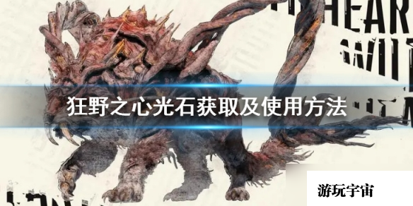 《狂野之心》光石怎么获得？光石获取及使用方法